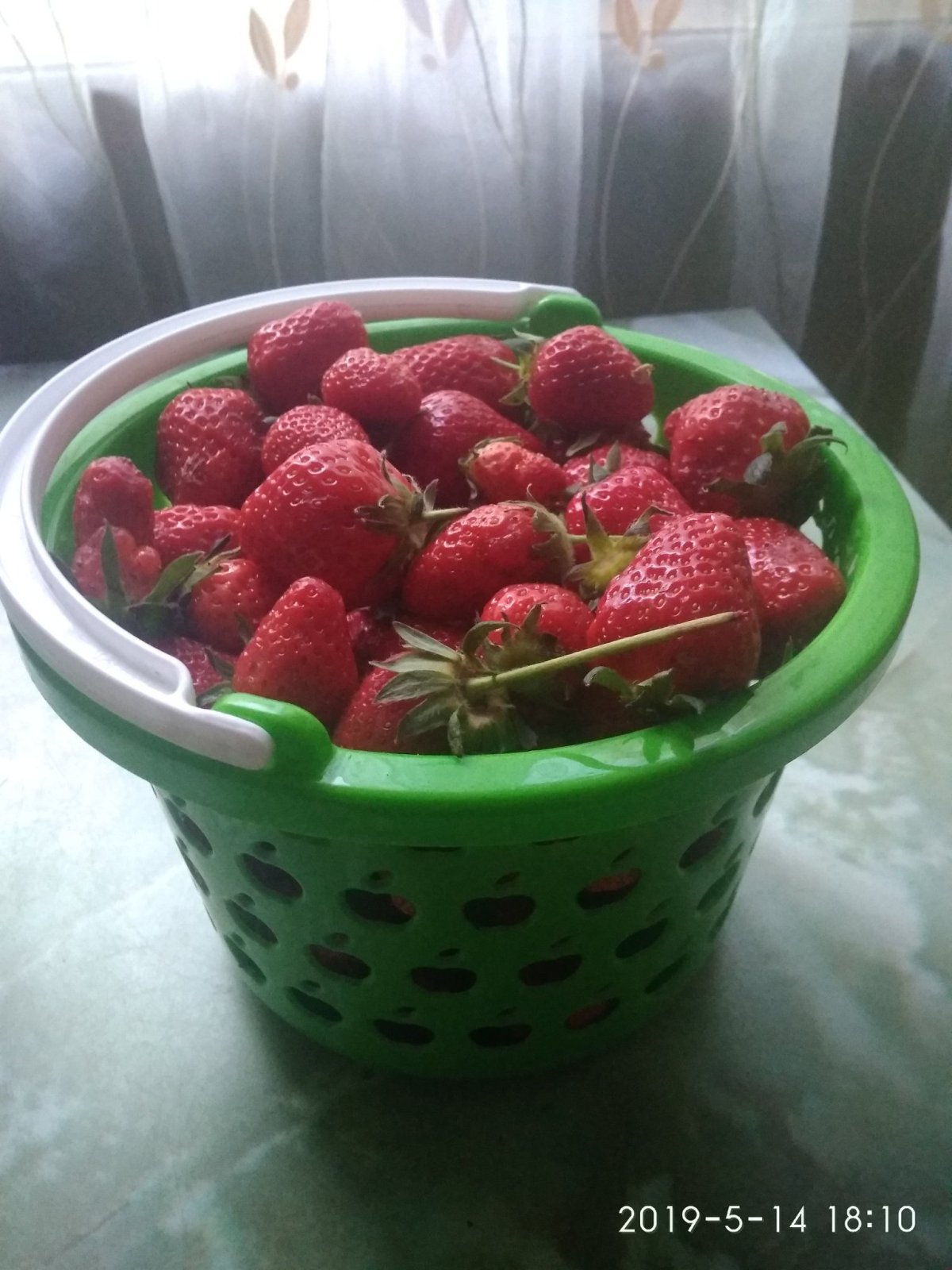 Клубника домашняя в ведре
