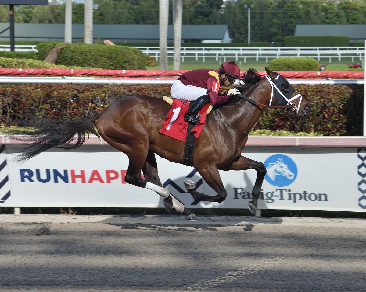 Kentucky Derby winner Roses