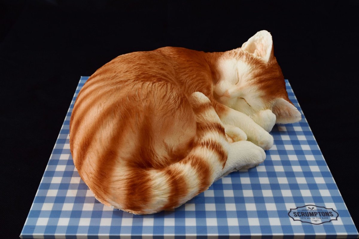 Торт с котом