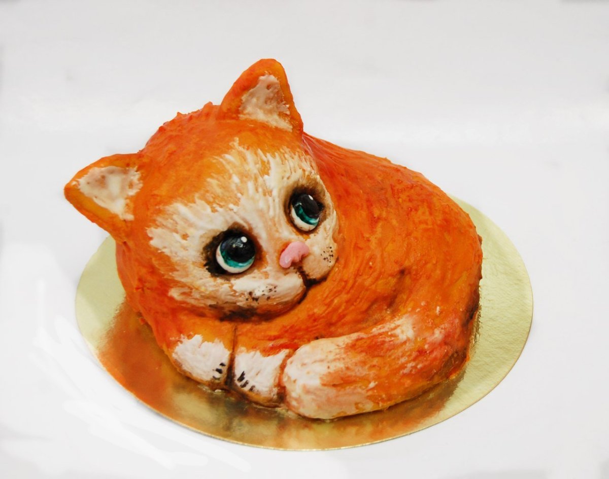 Торт с котом
