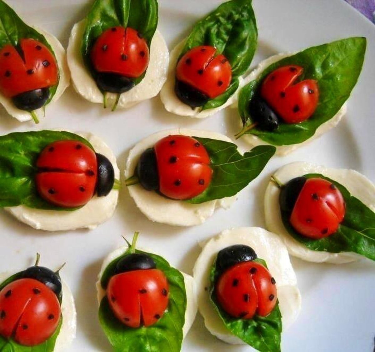 Дорожки для Божьей коровки