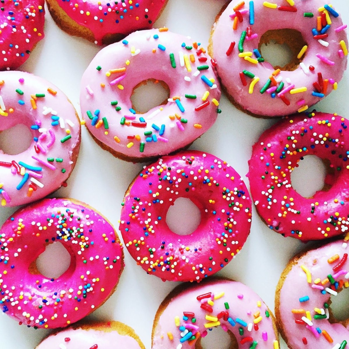 BRUCEANDMORGAN Donut