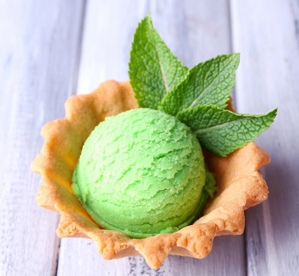 Mint Chocolate Ice Cream