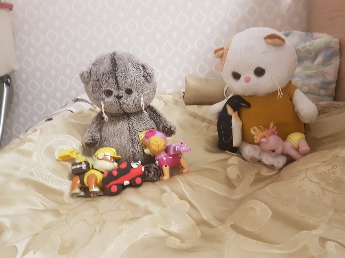 Идеи для занятий с Басиками