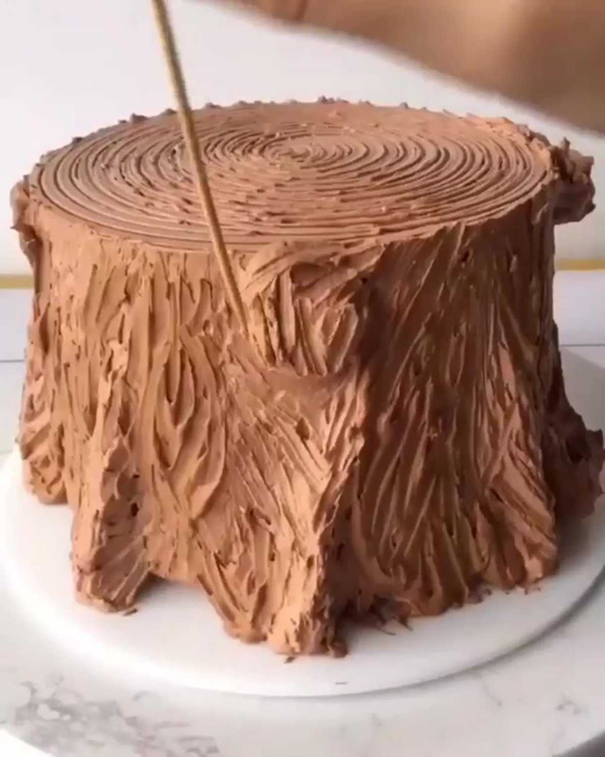Коржи Трухлявый пень