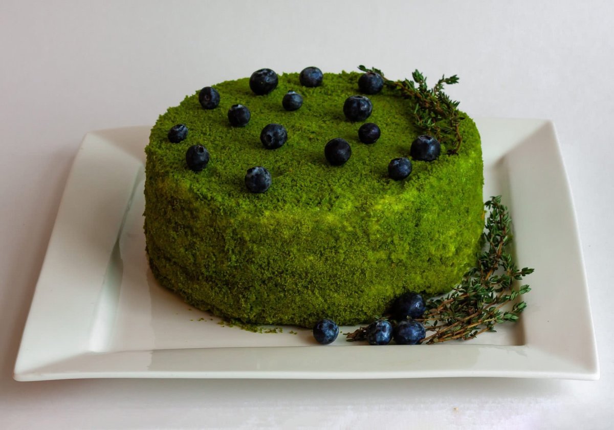 Торт зеленый мох