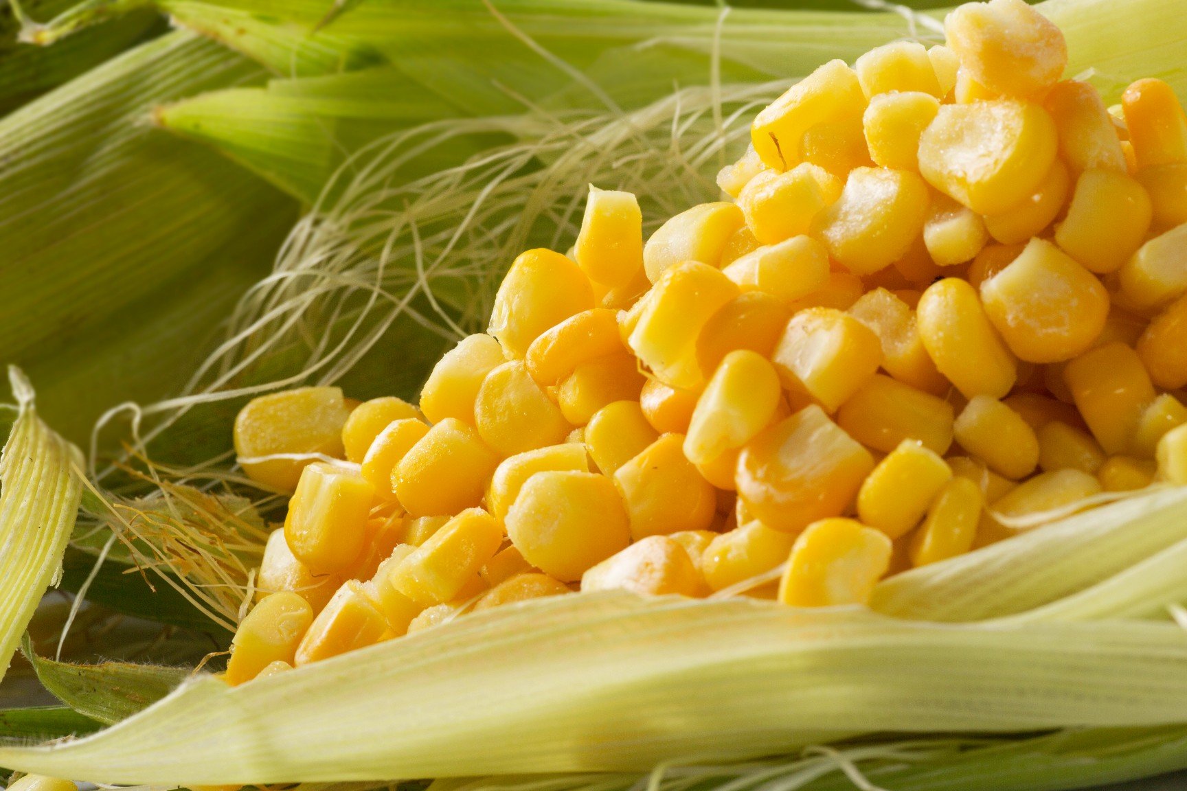 Сладость кукуруза. Кукуруза. Кукурузные зерна. Кукуруза (зерно). Горячая кукуруза.