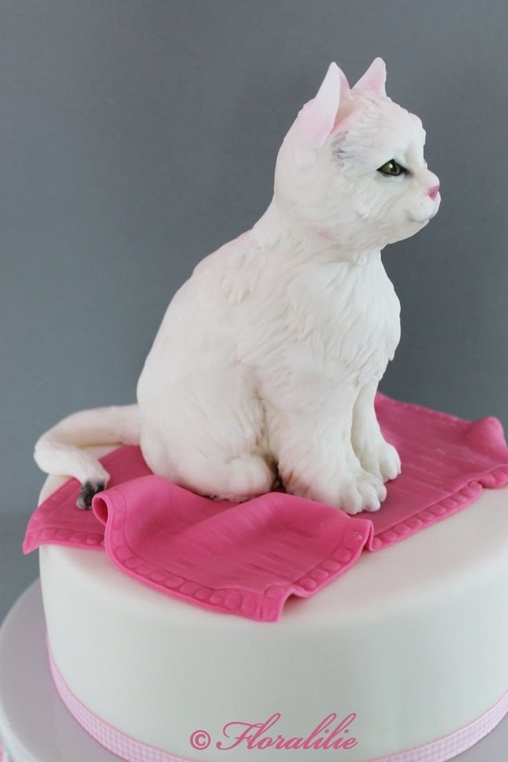 Торты для кошек из кошачьего корма