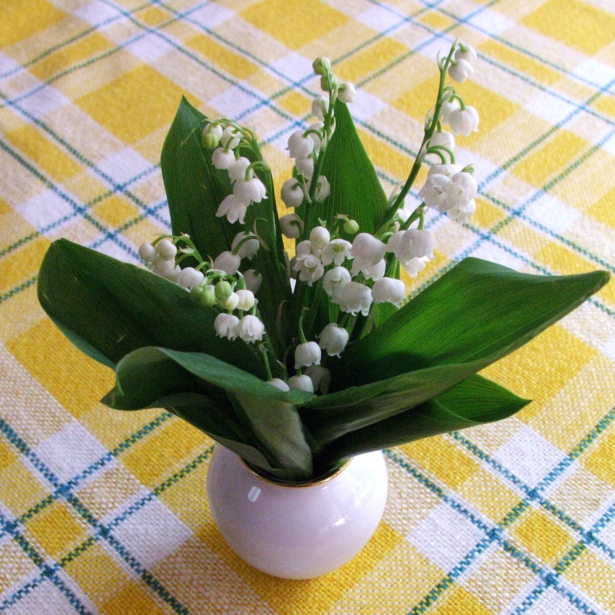 Ландыши изолон