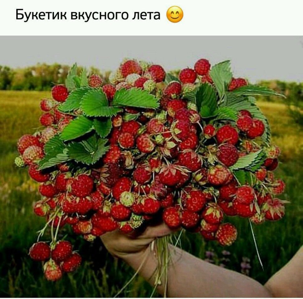 Фотосессия детей с клубникой