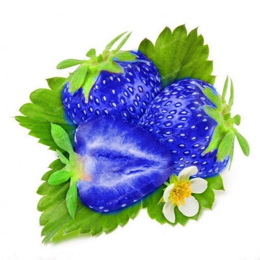 Клубника с синими цветами