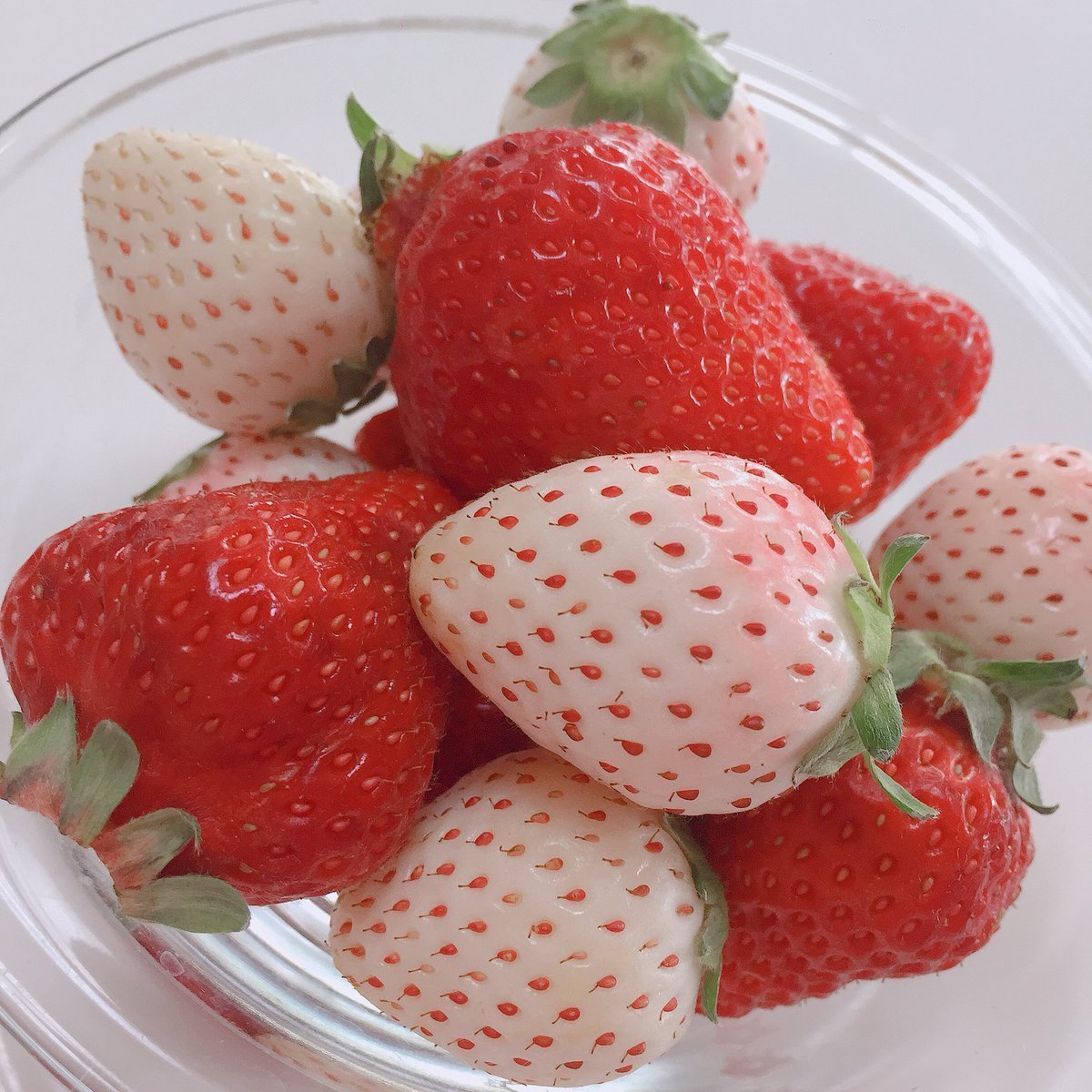 Клубника Марисоль