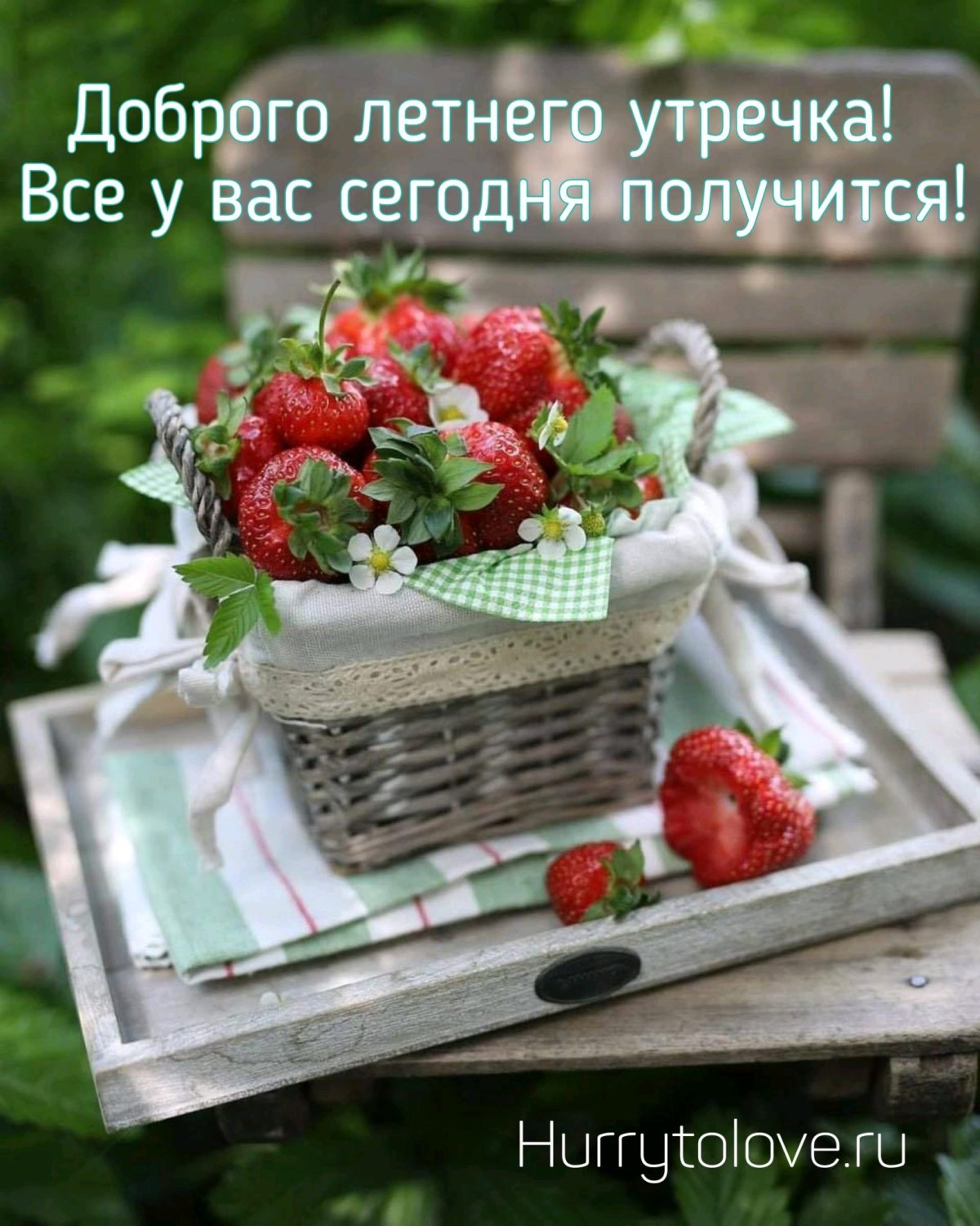 Открытки с добрым утром вторника