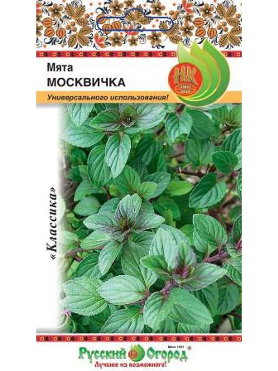 Леруа Мерлен мята рассада