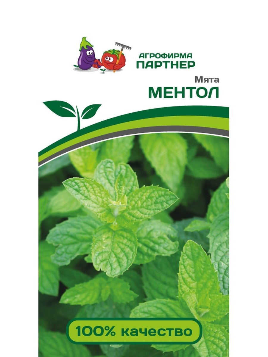 Мята перечная семена