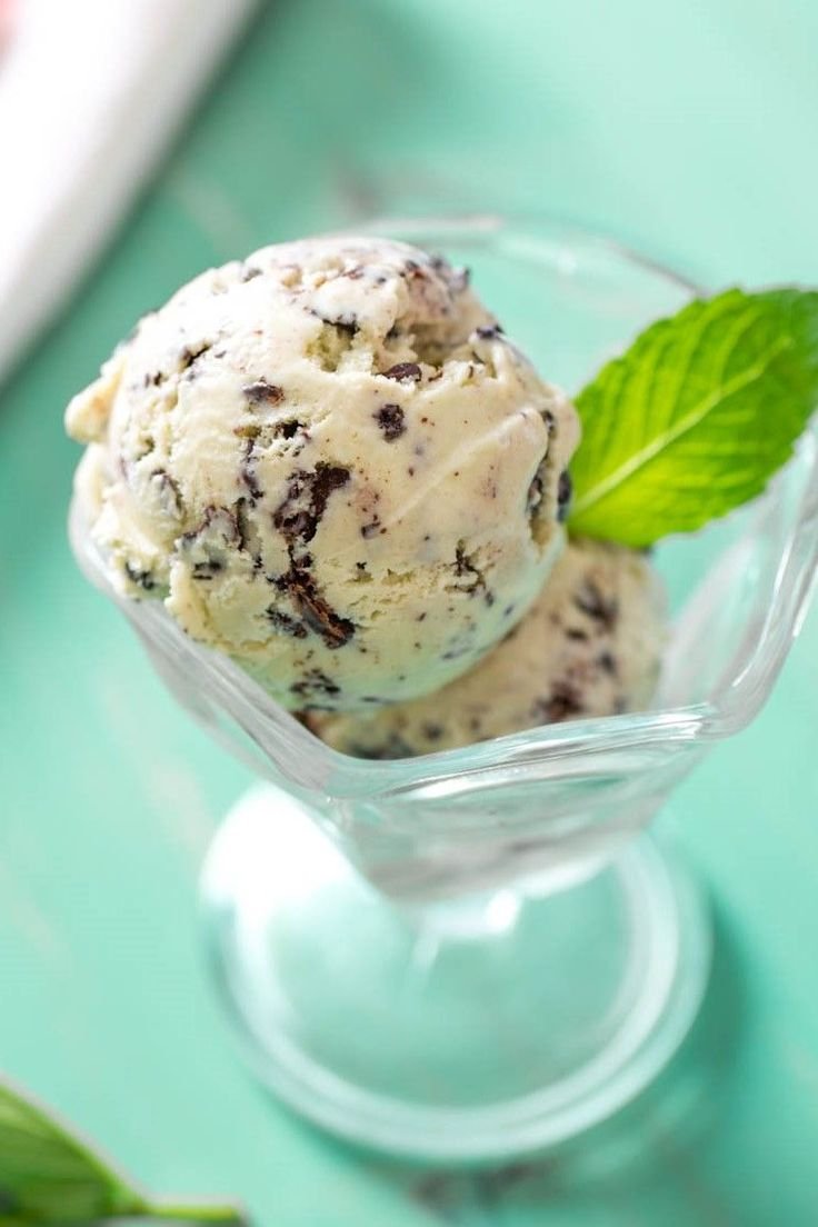 Mint Chocolate Chip Ice Cream