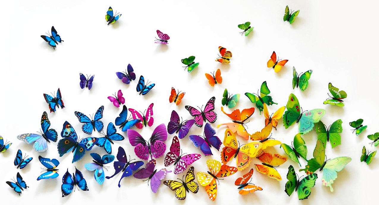 Бабочек легкая стая. Много бабочек. Стайка бабочек. Разноцветные бабочки. Много красивых бабочек.