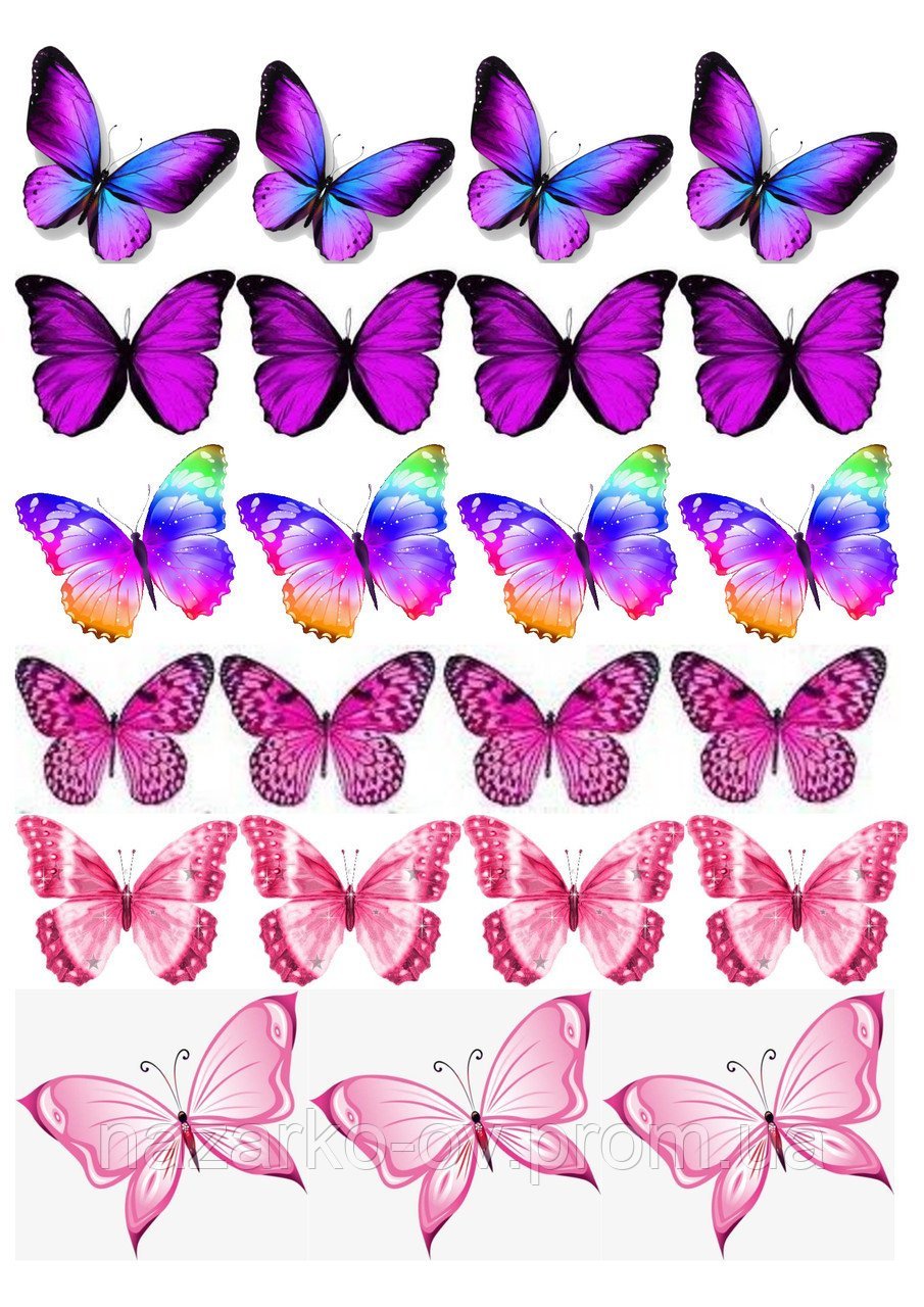 Бабочки розовые распечатать. Торт «бабочки». Розовые бабочки. Бабочки для распечатки цветные. Разноцветные бабочки.
