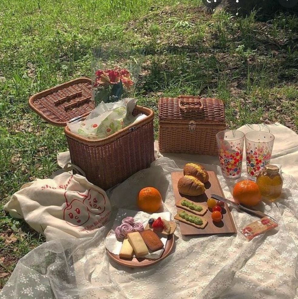 Пикник Эстетика