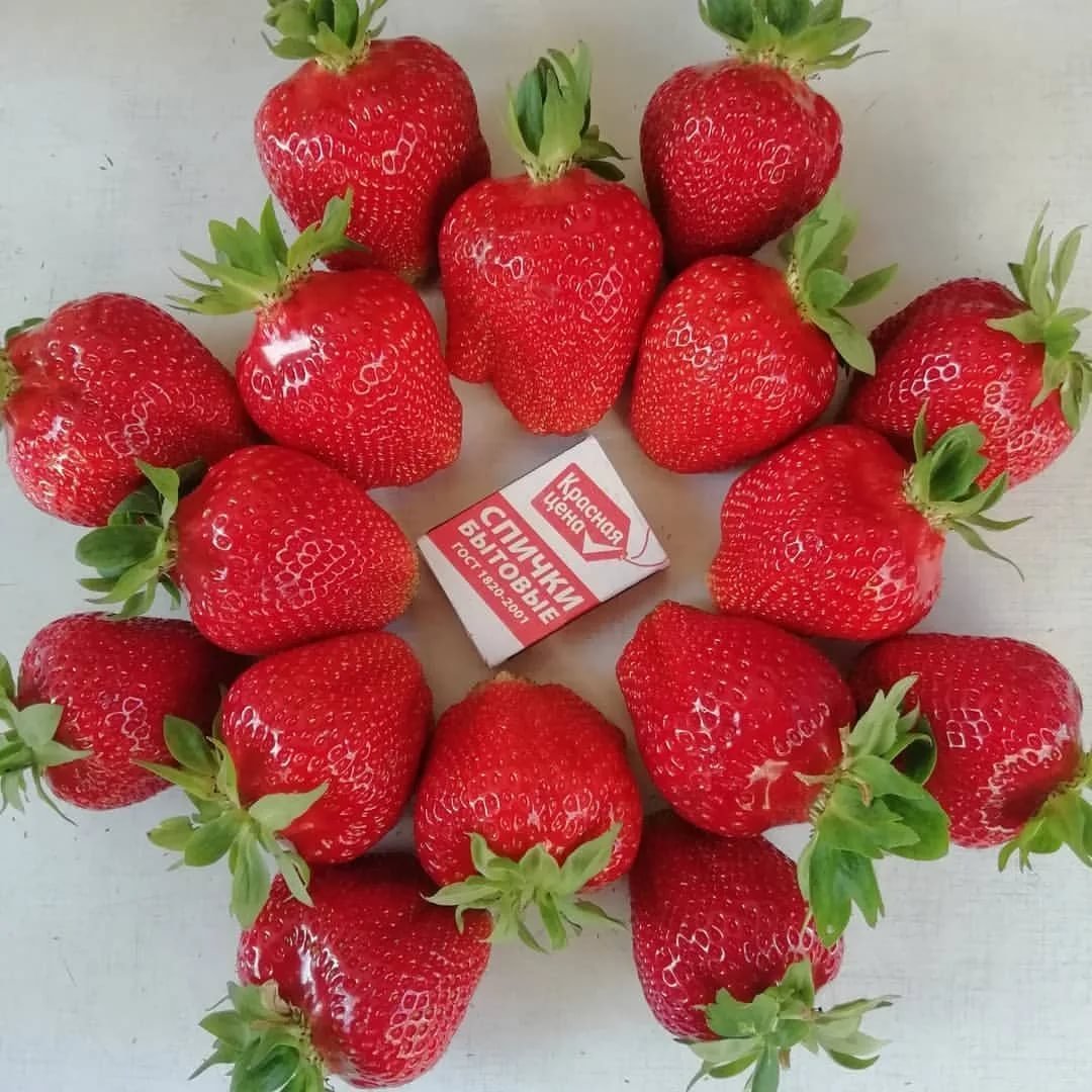 Клубника в миске