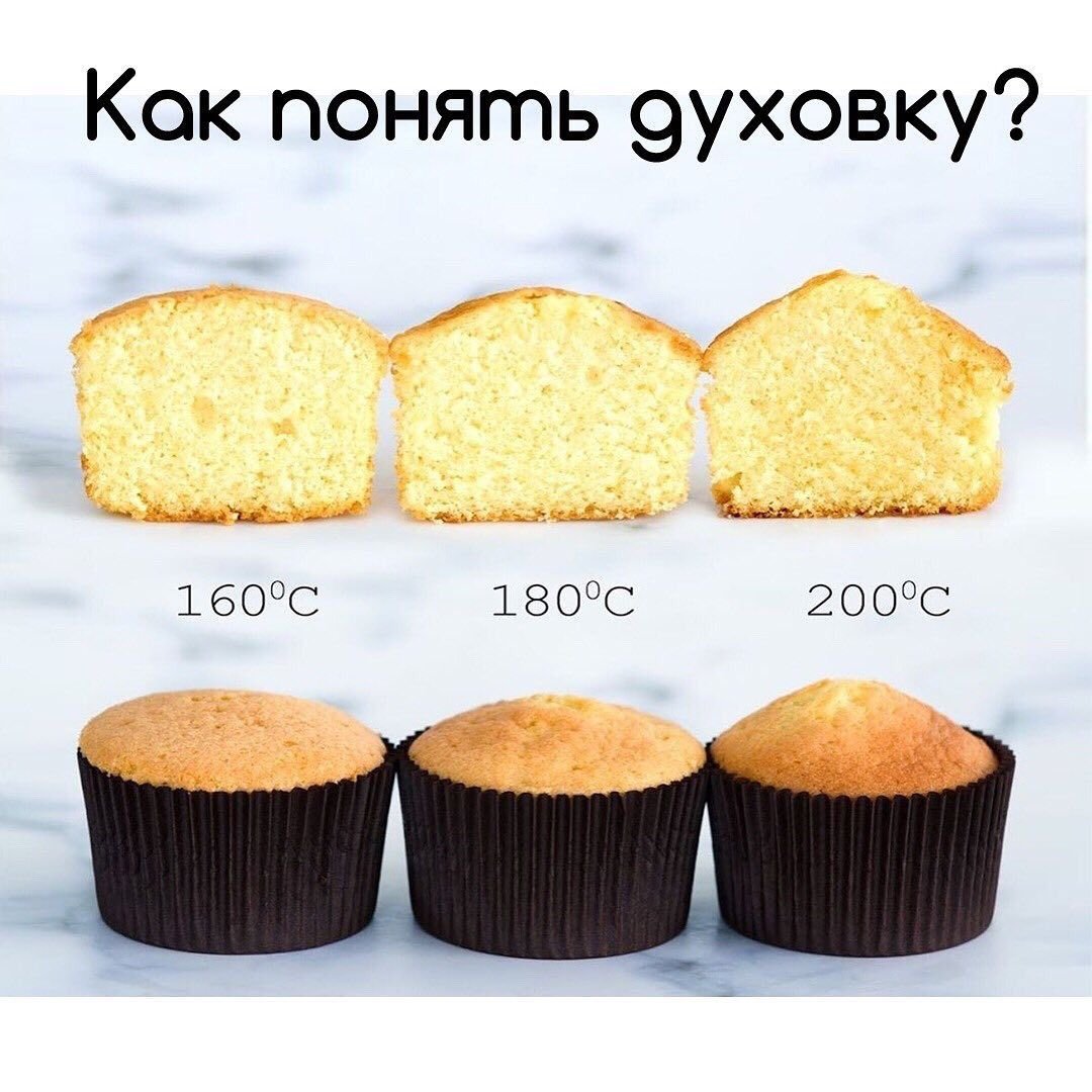 Шоколадный бисквит Паулина
