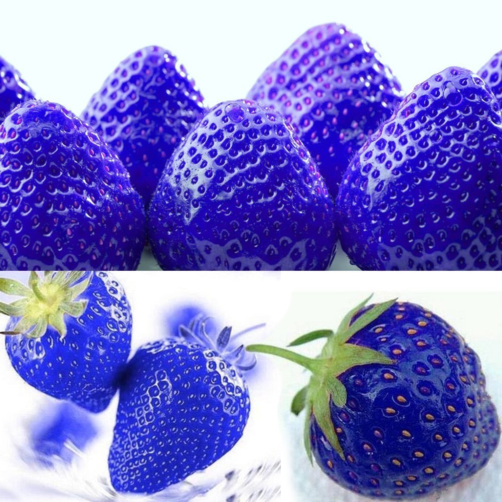 Синяя клубника