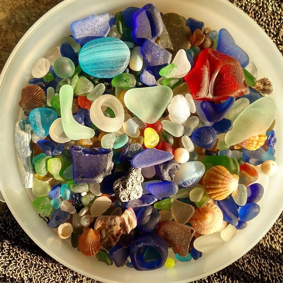 Wilton Seashells Candy Mold