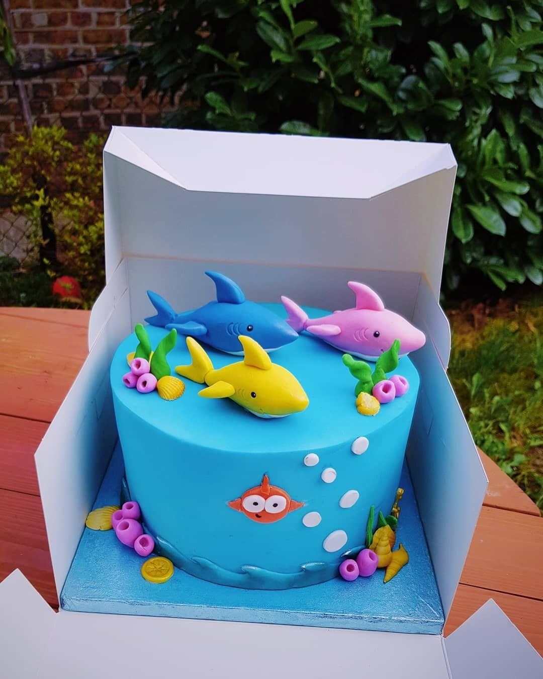 Baby Shark Cake 2 year old boys