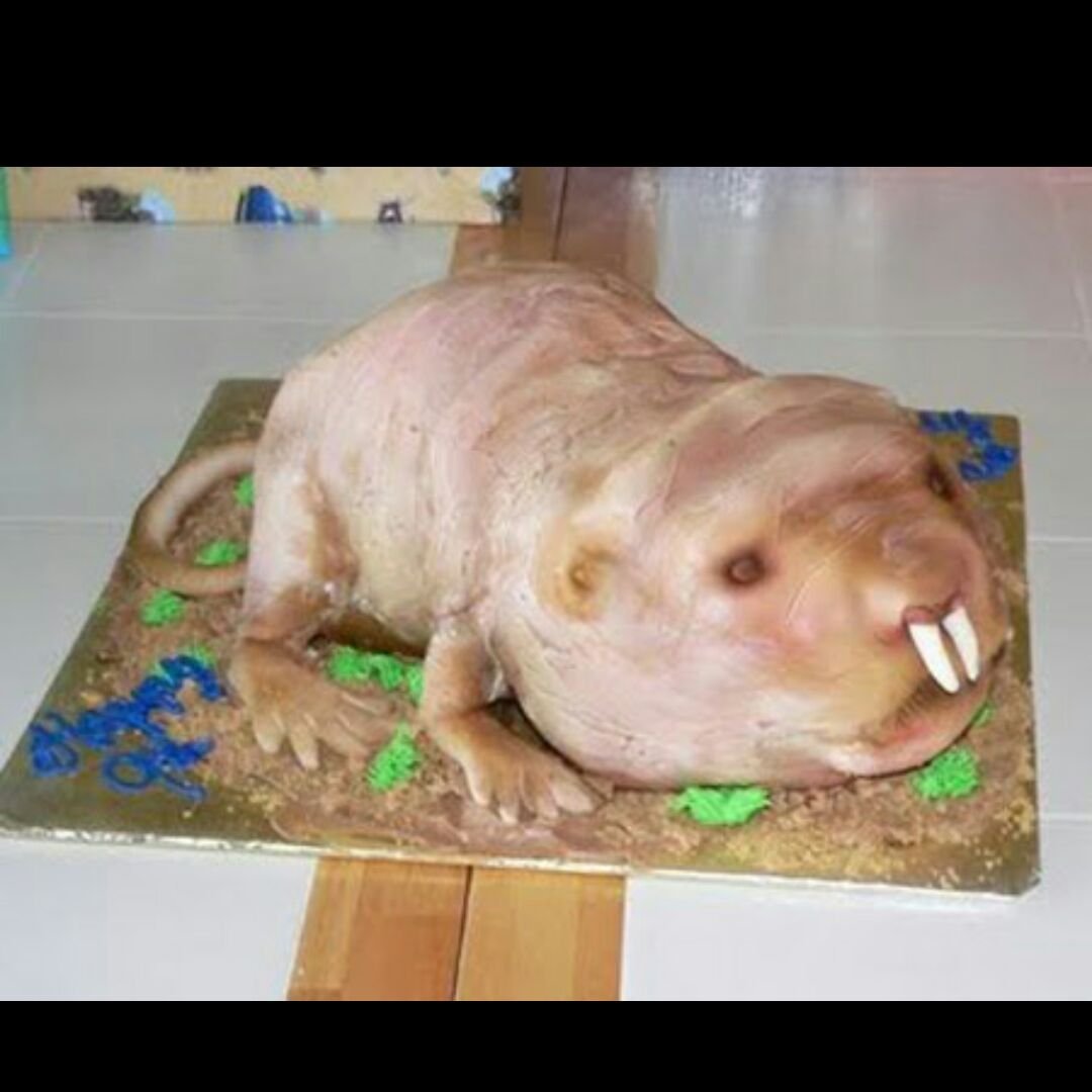 Нина Гудкова i Love Cake