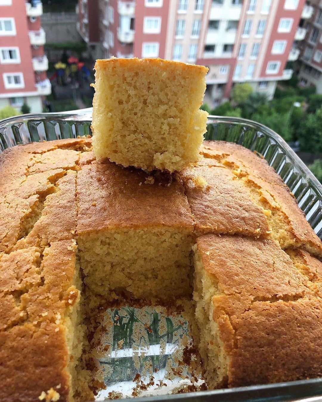 Японский бисквит зеленый