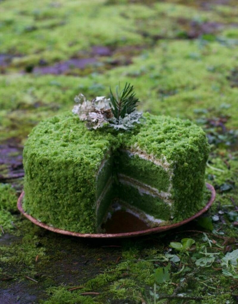 Десерт с мхом