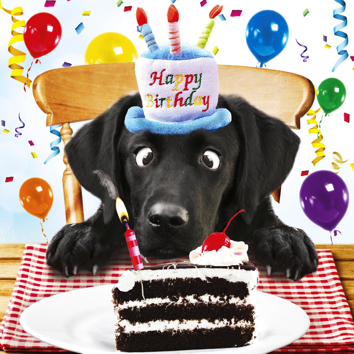 С днем рождения картинки с собачкой. День рождения собаки. С днём рождения собачки. Поздравления с днём рождения с собаками. Поздравления с днем рождения ЖЭС собакой.