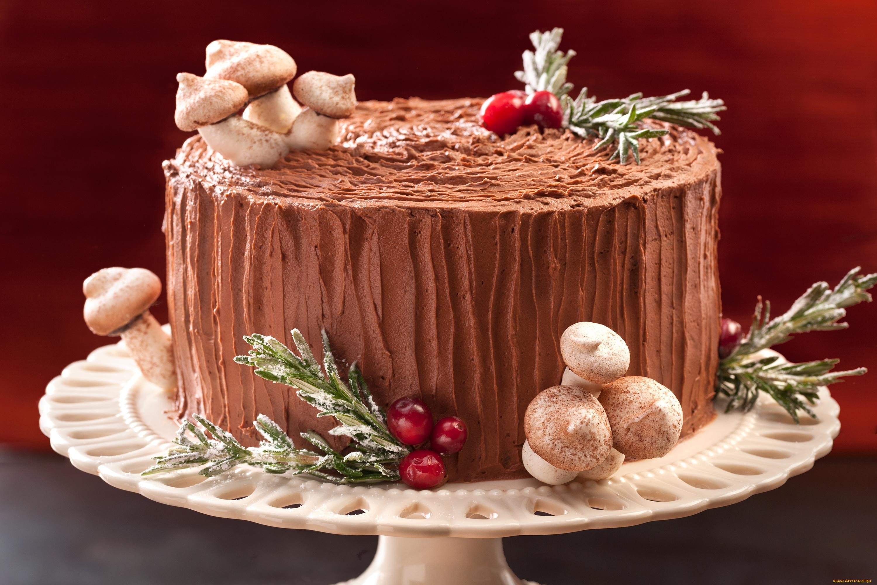Зимние торты рецепты. Торт Трухлявый пень. Торт Трухлявый пень классический. Торт Трухлявый пень шоколадный. Торт Трухлявый пень новогодний.