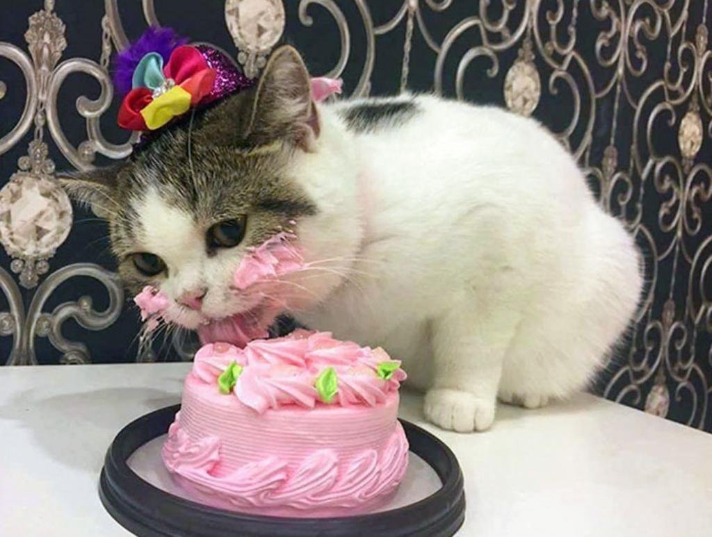 Торт кукла ЛОЛ 5 лет