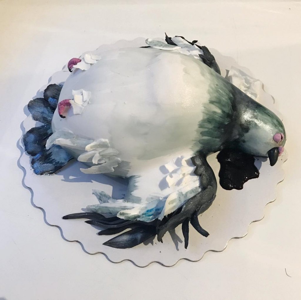Торт для голубятника