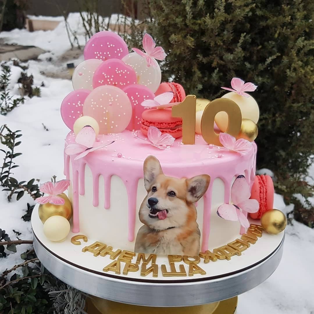 Торт с корги