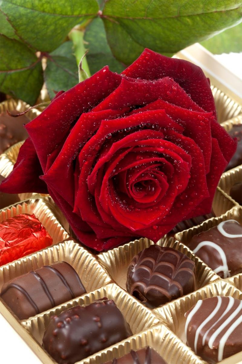 Цветы и шоколадка. Цветы с конфетами. Шоколадные конфеты. Красивые конфеты.