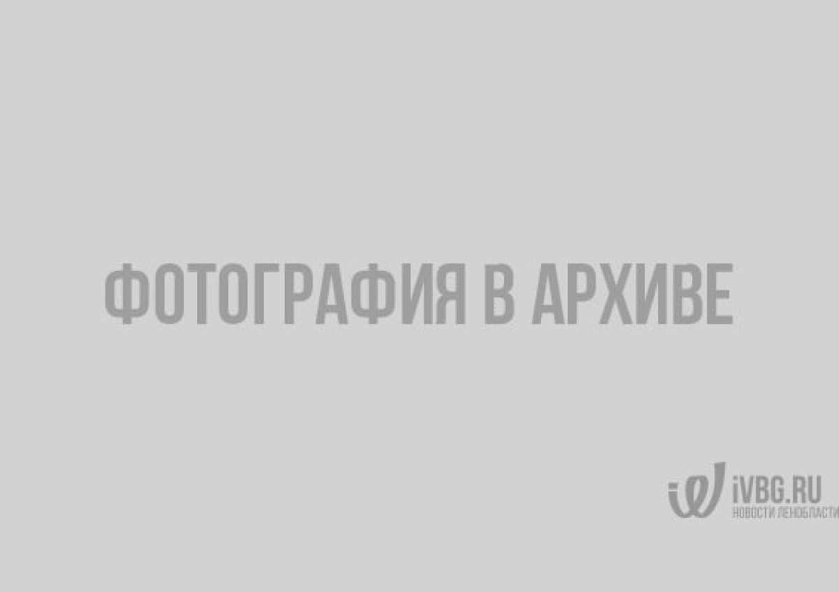 Музей шоколада в Выборге