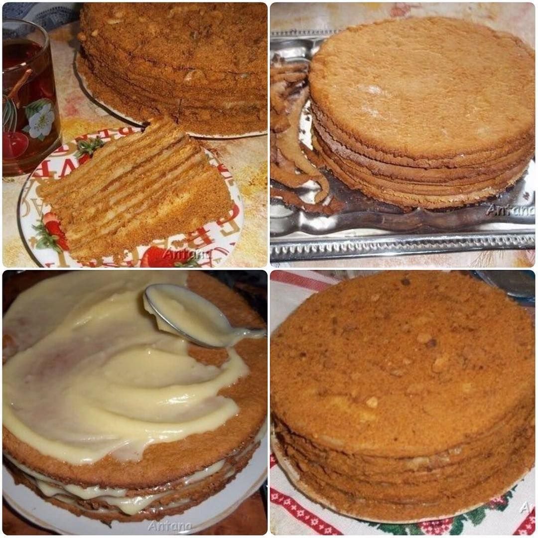 Торт Рыжик медовый