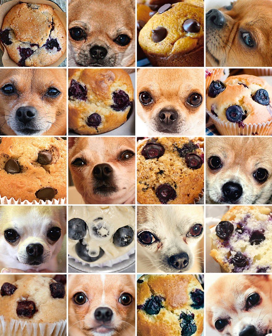Blueberry Muffin