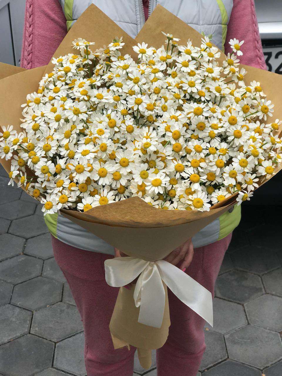 Большой букет ромашек