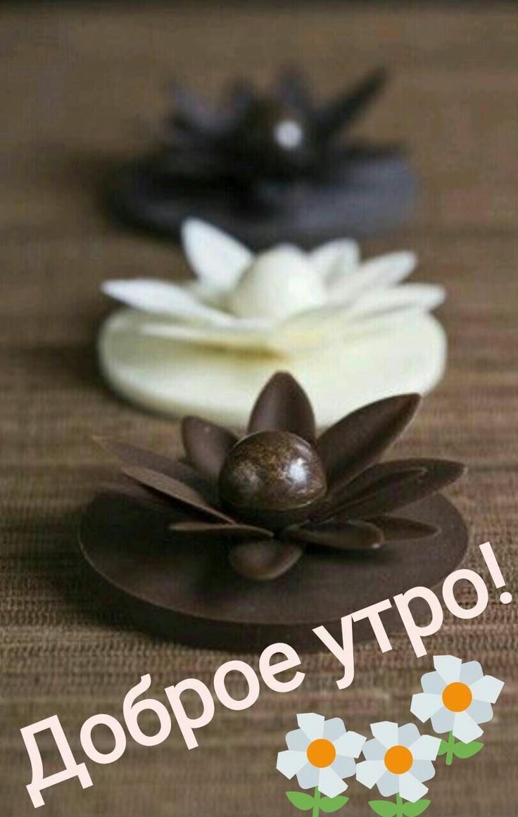 Цветы из белого шоколада