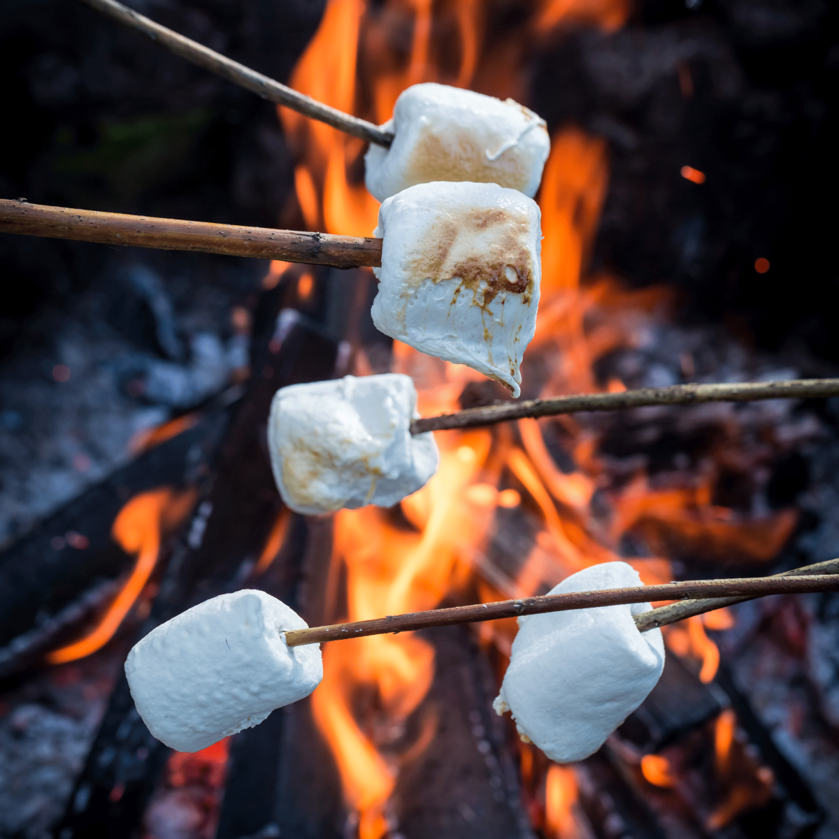 Маршмеллоу Campfire