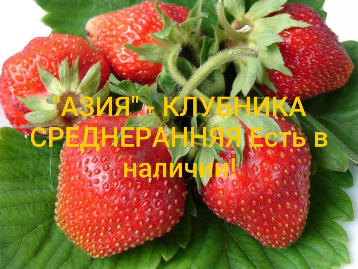 Леля Славянская богиня