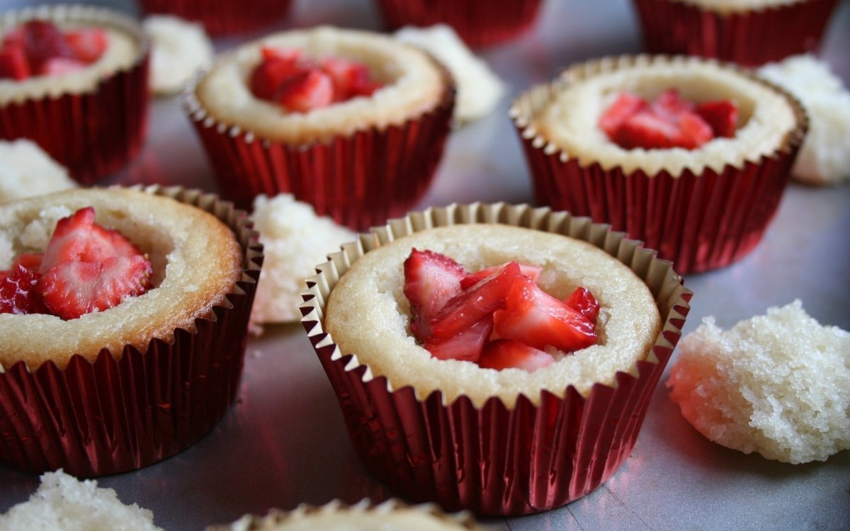 Xeracx Cup Cake
