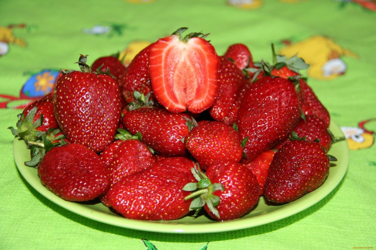 Клубника сорт Флавия