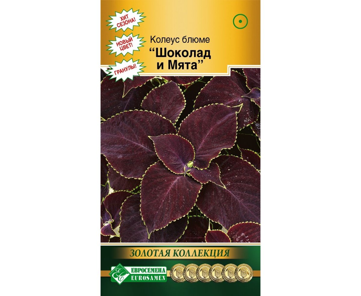 Колеус Блюме Джиант Эксибишн Мирабле евро-семена