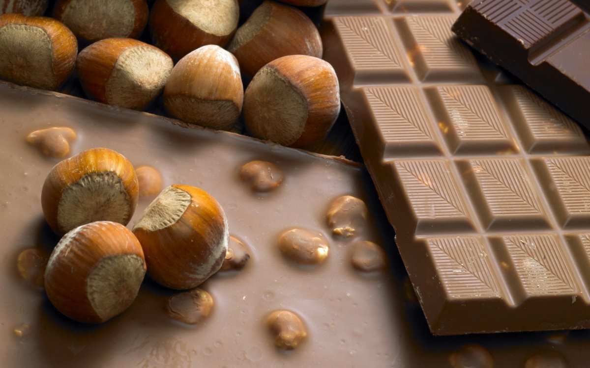Chocolate with Hazelnuts in the Section
