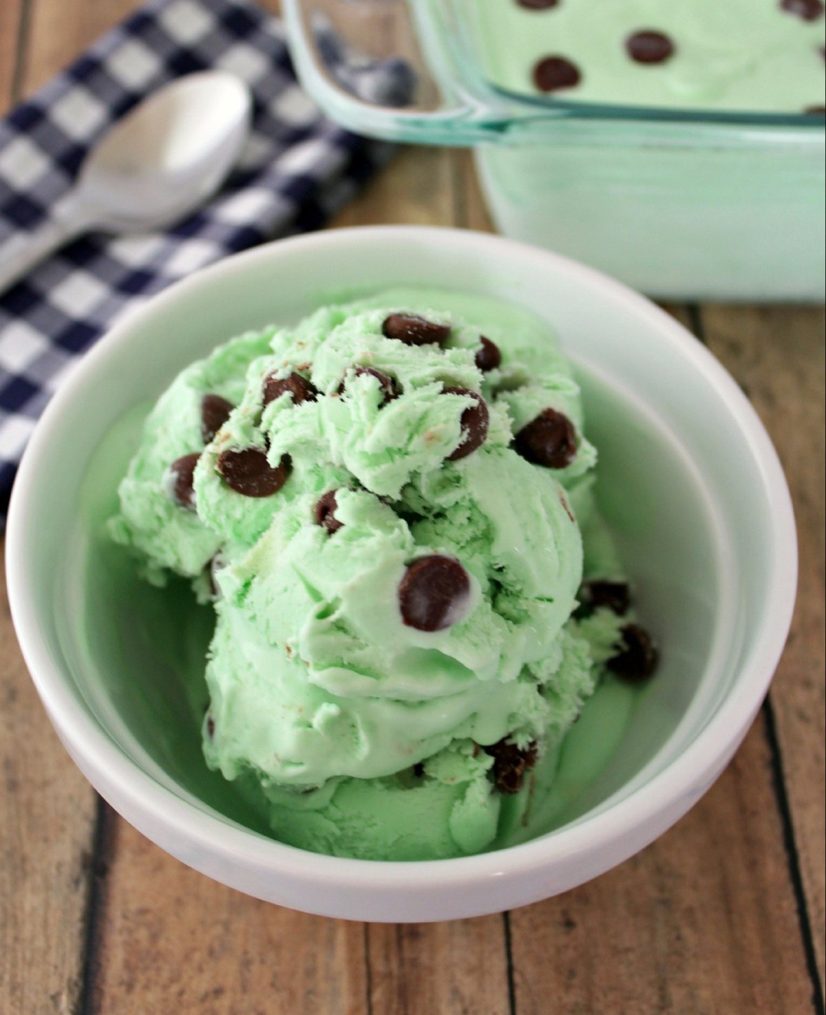 Mint Chocolate Ice Cream