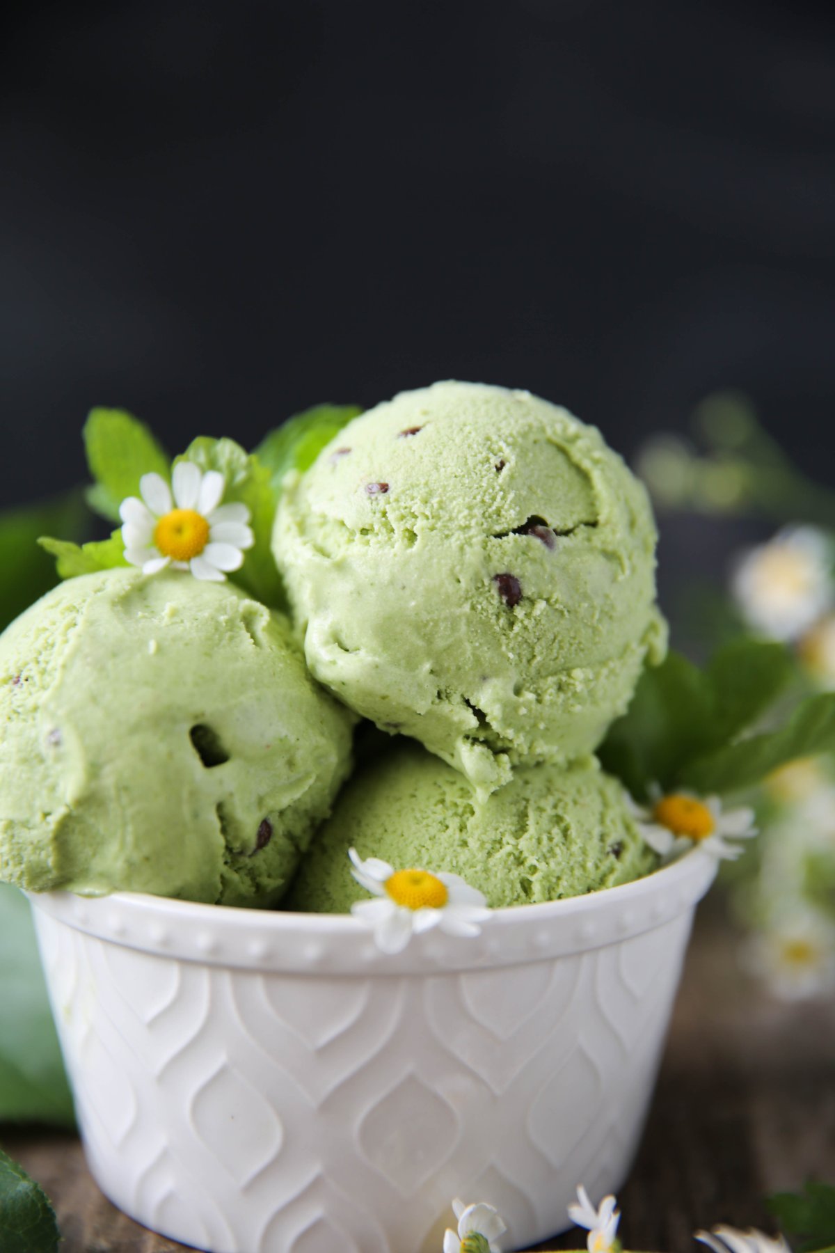 Mint Chocolate Chip Ice Cream